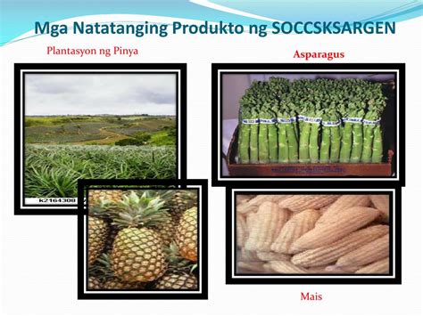 pangunahing produkto ng sarangani|SOCCSKSARGEN .